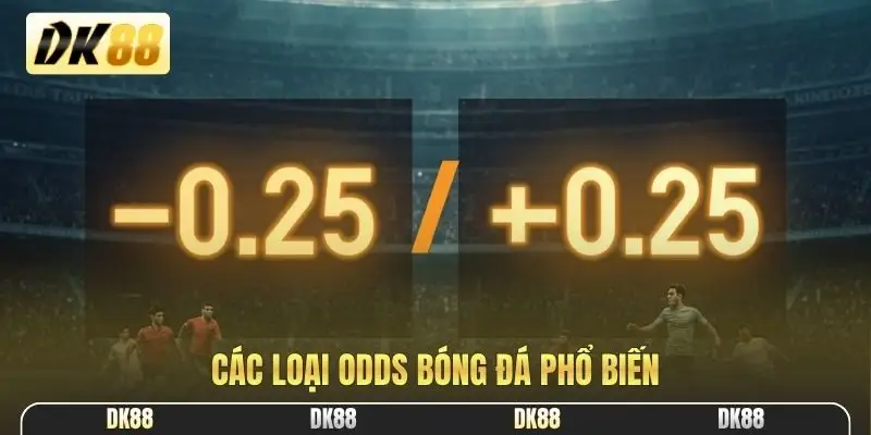 Các loại odds bóng đá phổ biến
