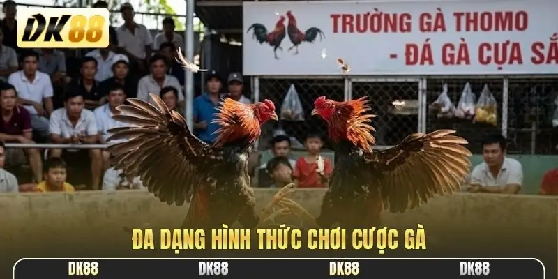 Đa dạng hình thức chơi cược gà