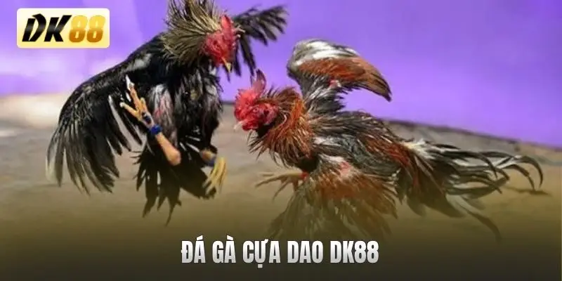 đá gà cựa dao DK88