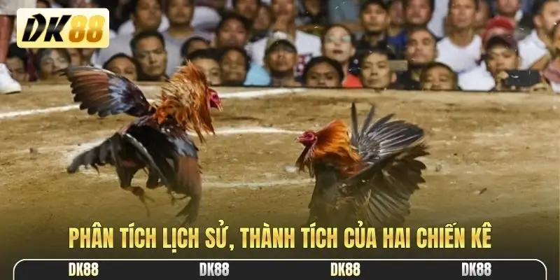 Phân tích lịch sử, thành tích của hai chiến kê